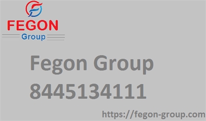 Fegon Group